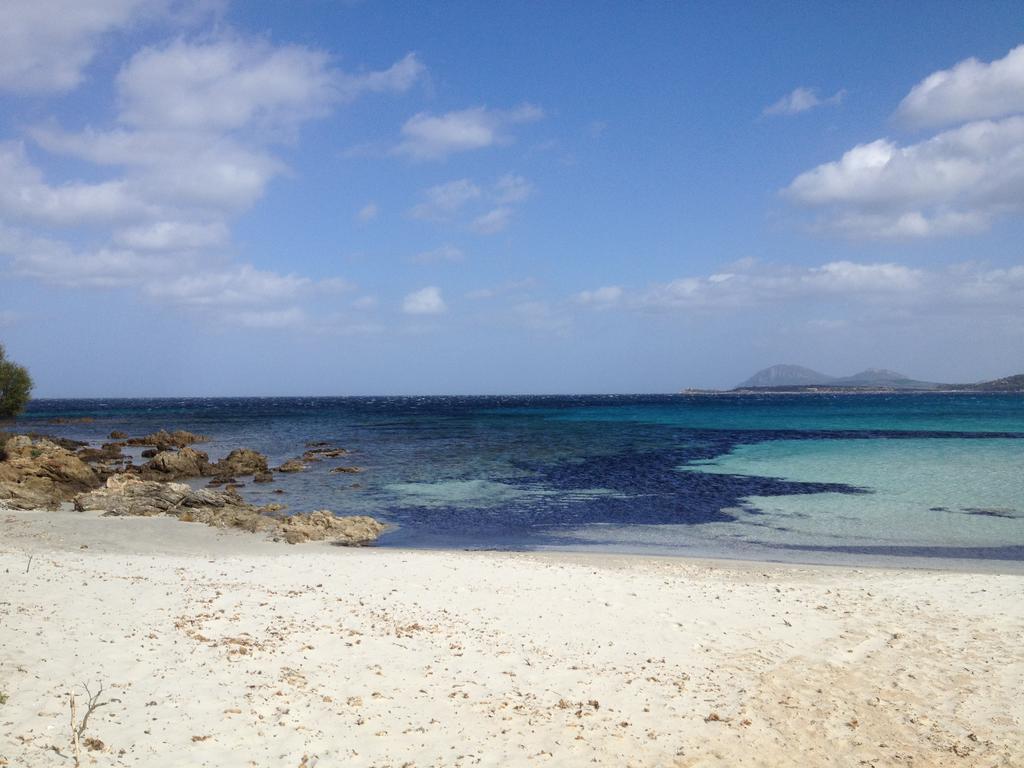 Luxury Apartment Sardegna Portisco Δωμάτιο φωτογραφία